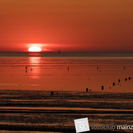 2024_mitglied_moni_besier_ nordseelicht